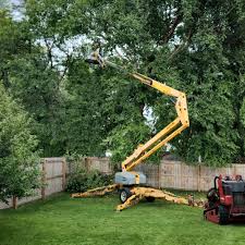Best Lawn Mowing  in Shady Hollow, TX